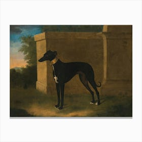 Vintage Greyhound In Front Of A Building Canvas Print