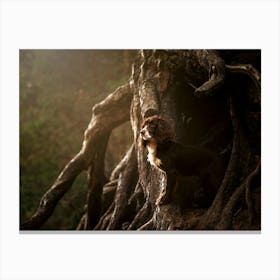 Cocker Spaniel In The Tree - Scotland Highland UK dog photo print - moody animal photography Canvas Print