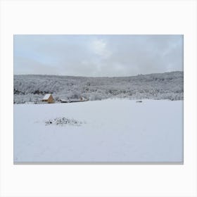 Snowy Field In Winter Canvas Print