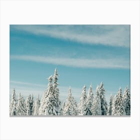 Snow Fever In Scandinavia Canvas Print