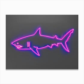 Neon Magenta Angel Shark 2 Canvas Print