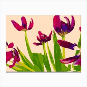 New Tulips Decay Canvas Print