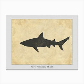 Port Jackson Shark Silhouette 1 Poster Canvas Print