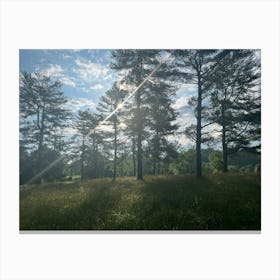 Catawba Meadows Morning (Shine) Canvas Print
