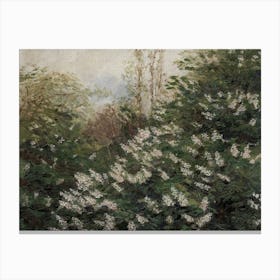 Lilacs 4 Canvas Print