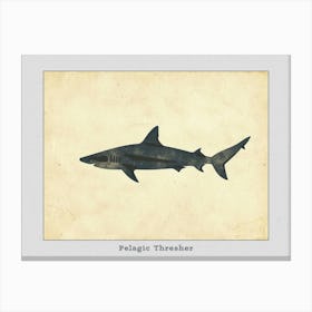 Pelagic Thresher Shark Grey Silhouette 3 Poster Canvas Print