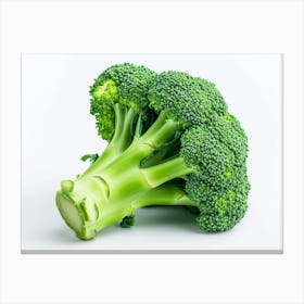 Close Up Of Broccoli 2 Canvas Print