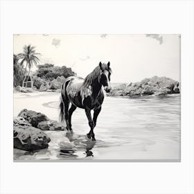 A Horse Oil Painting In Anse Cocos, Seychelles, Landscape 3 Canvas Print