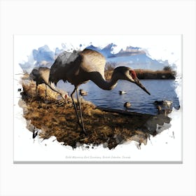 Reifel Migratory Bird Sanctuary, British Columbia, Canada Canvas Print