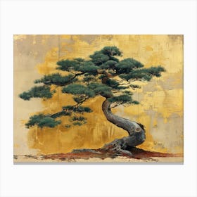 Bonsai Tree 1 Canvas Print