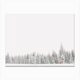 Snowy Winter Pine Forest Canvas Print