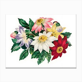 Dahlias 5 Canvas Print