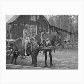 Girl Astride Mule, Farm Near Northome, Minnesota By Russell Lee 1 Canvas Print
