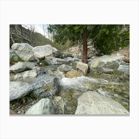 Stream In The Mountains Canvas Print