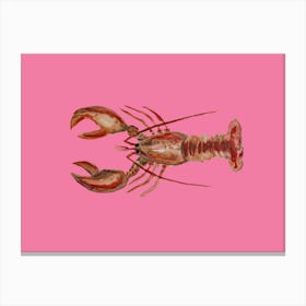 Pink Lobster 1 Canvas Print