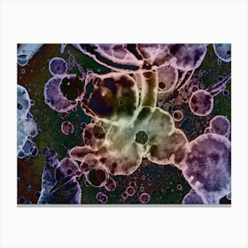 A Rainbow In The Negative 1 Canvas Print