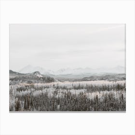 Icy Winter Forest Canvas Print