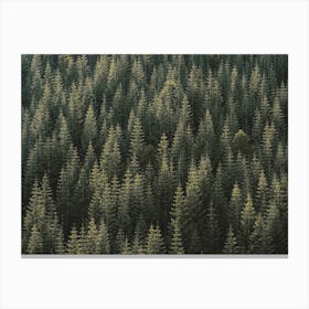 Uniform Forest Canvas Print