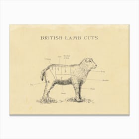 British Lamb Butcher Cuts Chart Canvas Print