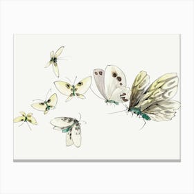 Hokusai Butterflies 1 Canvas Print