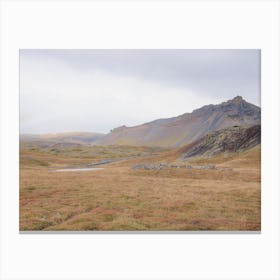 Iceland Earthy Landscape  Canvas Print