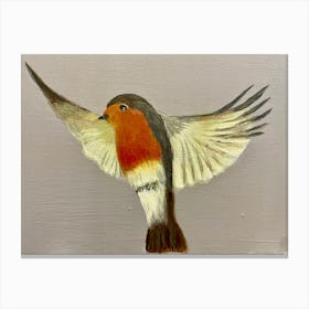 Robin Canvas Print