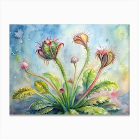 Carnivorous Plants 1 Canvas Print