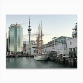 Auckland Stampe su tela