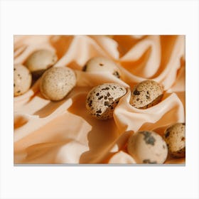 Quail Eggs 19 Canvas Print