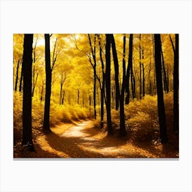 Yellow Path In The Forest 1 Canvas Print