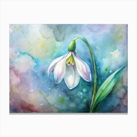 Snowdrop 1 Canvas Print