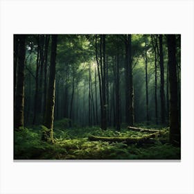 Forest Canvas Print