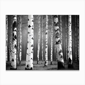 Birch Trees 60 Canvas Print