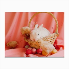 Easter Bunny 12 Canvas Print