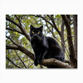 Big Black Kitty Canvas Print