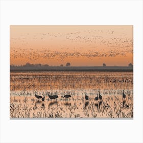 Sandhill Crane Sunrise Canvas Print