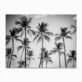 Black And White Palm Trees 1 Canvas Print