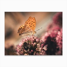 Butterfly On Flower Canvas Print