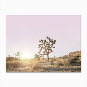 Desert Sunset II Canvas Print
