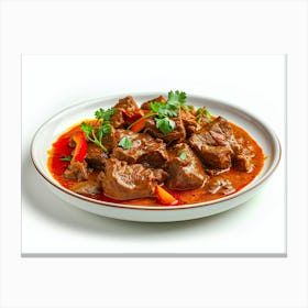 Beef Curry Canvas Print