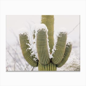 Snow Covered Saguaro Canvas Print