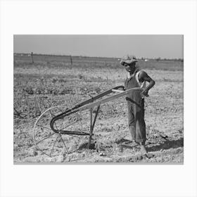 Untitled Photo, Possibly Related To New Madrid County, Missouri, Child Of Sharecropper Cultivating Cotton By Canvas Print