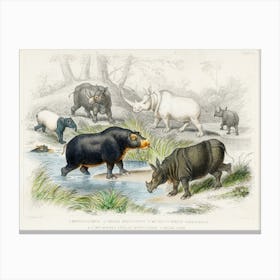 Hippopotamus, Indian Rhinoceros, Muchoco, White Rhinoceros, Two Horned African Rhinoceros, And Malay Tapir, Oliver Goldsmith Canvas Print