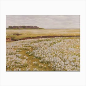 Daffodils Canvas Print