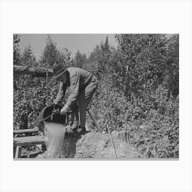 William Besson Dumping Water From Shaft Near Winton, Minnesota By Russell Lee Canvas Print