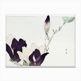Purple Magnolia Illustration From Bijutsu Sekai (1893 1896), Watanabe Seitei Canvas Print