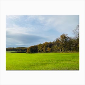 Field With Trees 6 Canvas Print