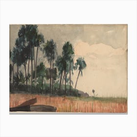 Palm Trees, Red (1890), Winslow Homer Canvas Print