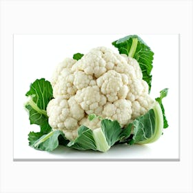 Cauliflower 12 Canvas Print