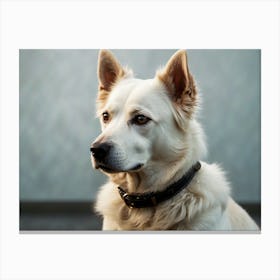 Waiting Dog Canvas Print